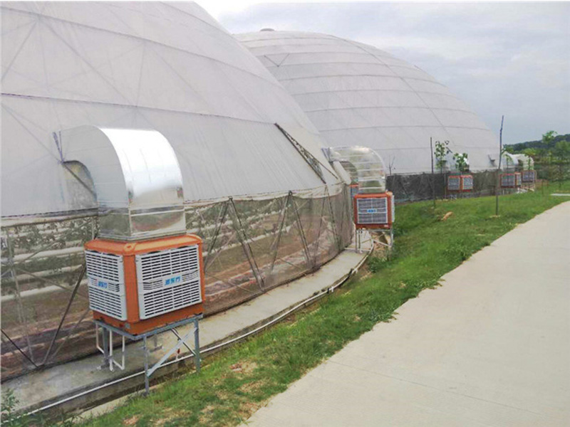 溫室大棚通風(fēng)降溫設(shè)備|潤(rùn)東方環(huán)?？照{(diào)