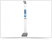 ���M(j��n)���������܂������y��